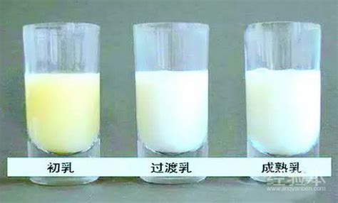 吸奶器吸出來(lái)的母乳可以放幾個(gè)小時(shí)(吸奶器吸出來(lái)的母乳常溫可以放多久)縮略圖