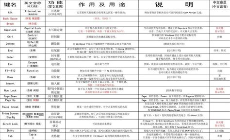 電腦鍵盤功能基礎(chǔ)知識(電腦鍵盤功能基礎(chǔ)知識表)縮略圖