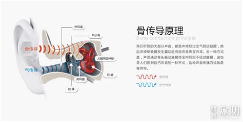 骨傳導藍牙耳機原理(骨傳導藍牙耳機原理圖)縮略圖