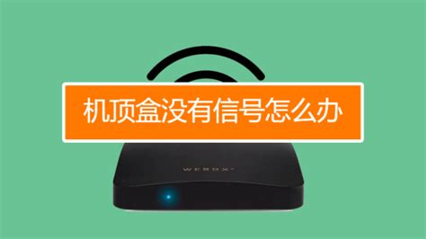 機(jī)頂盒無信號怎么辦(機(jī)頂盒無信號怎么辦維修電話)縮略圖