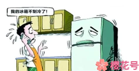 雙門冰箱冷藏室不制冷是什么原因(雙門冰箱冷藏不制冷是什么原因)縮略圖