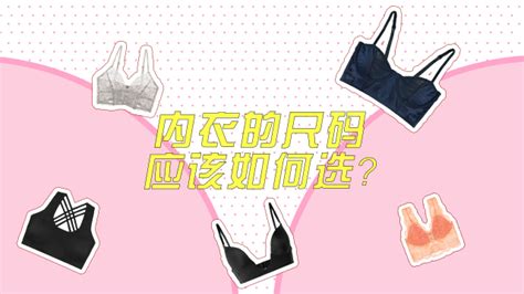 文胸abc罩杯哪個(gè)大哪個(gè)小(女性胸罩尺碼對(duì)照表)縮略圖