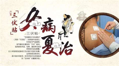 三伏貼冬天貼有效果嗎,三伏貼到底是騙局還是良方縮略圖