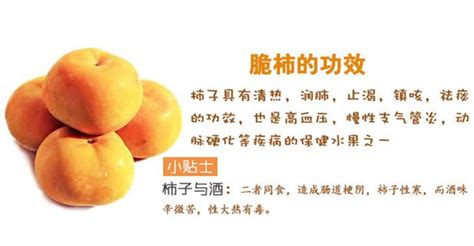 小柿子的營(yíng)養(yǎng)與功效,小柿子的營(yíng)養(yǎng)與功效與作用縮略圖