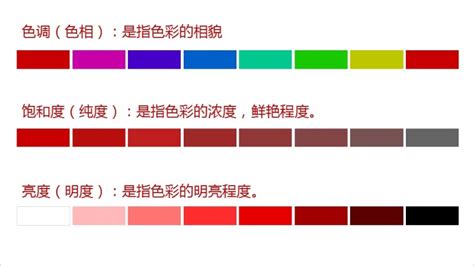 分析純和優級純的區別(優級純與分析純的區別是什么)縮略圖
