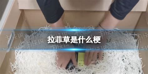 拉菲草事件,拉菲草事件什么意思縮略圖