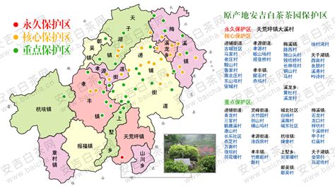 安吉白茶產(chǎn)地哪里(安吉白茶產(chǎn)地哪里好)縮略圖