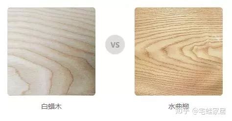 白蠟木和水曲柳區別,白蠟木和水曲柳區別在哪縮略圖