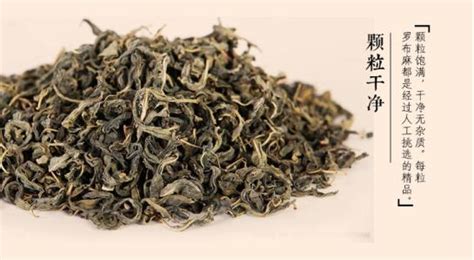 羅布麻能治高血壓嗎(羅布麻能治高血壓嗎降血壓的偏方)縮略圖