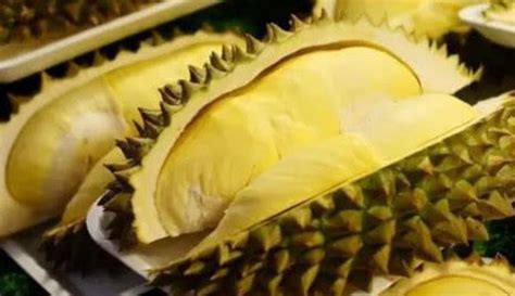 廣西榴蓮一斤多少錢,廣西榴蓮批發多少錢一斤縮略圖