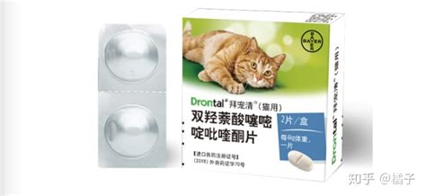 拜寵清驅蟲藥,拜寵清驅蟲藥怎么樣縮略圖