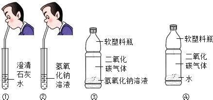 石灰水和二氧化碳反應的化學方程式,石灰水和二氧化碳反應的化學方程縮略圖