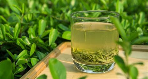 碧螺春屬于什么茶(碧螺春屬于什么茶紅茶還是綠茶)縮略圖
