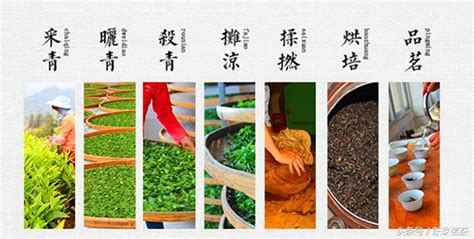 漳平水仙茶餅泡法(漳平水仙茶餅怎么泡)縮略圖