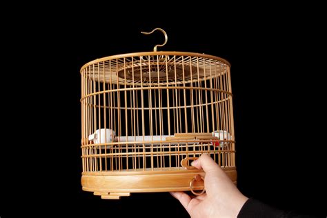 鳥籠(鳥籠子批發廠家直銷)縮略圖