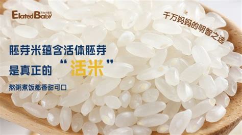 胚芽米和普通米有什么區別(寶寶胚芽米和普通米有什么區別)縮略圖