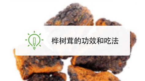 樺樹茸的正確服用方法,樺樹茸的正確服用方法和用量縮略圖