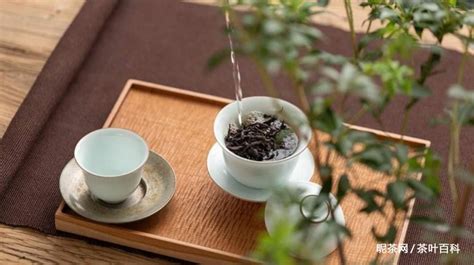 水仙茶的沖泡方法,水仙茶的沖泡方法福建縮略圖