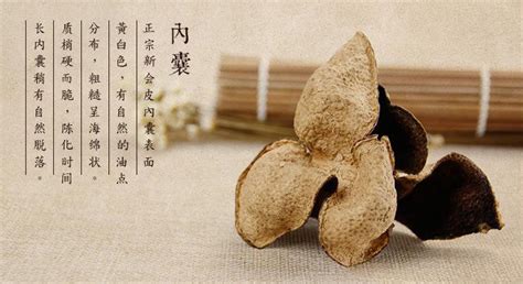 新會陳皮真假鑒別方法(新會陳皮的真假辨別)縮略圖