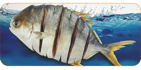 金昌魚(金昌魚家常做法)縮略圖