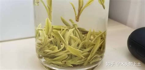 安吉白茶的沖泡方法(安吉白茶的沖泡方法和水溫)縮略圖
