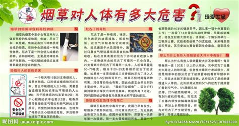 鼻煙對人體的危害,鼻煙對人體的危害大嗎縮略圖