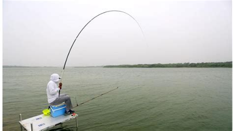 魚竿19調28調是什么意思(魚竿19調28調是什么意思?)縮略圖