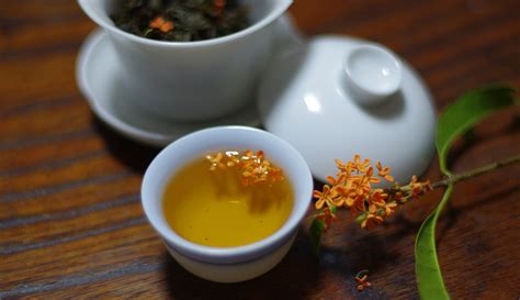 桂花茶養胃還是傷胃(桂花茶養胃還是傷胃的)縮略圖