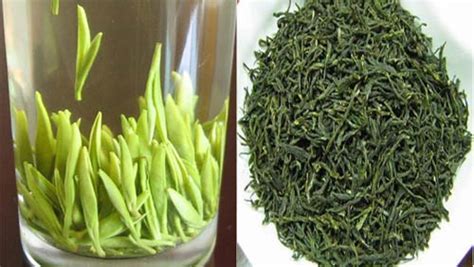 毛尖茶哪里產的最好(毛尖茶哪里產的最好最正宗)縮略圖