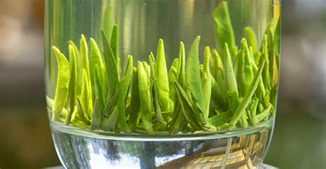 竹葉青茶葉產(chǎn)地是哪里,竹葉青酒產(chǎn)地是哪里縮略圖