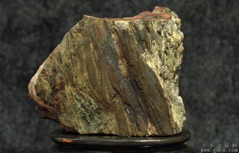 硅化木原石圖片大全(硅化木原石圖片大全大圖)縮略圖