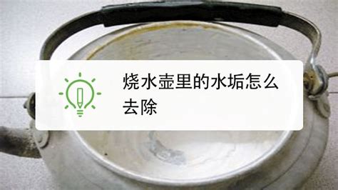 水壺里的白色污垢怎么去除,水壺里的白色污垢怎么去除小妙招縮略圖