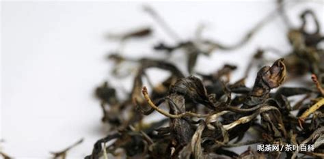 古樹(shù)茶屬于什么茶,昔歸古樹(shù)茶屬于什么茶縮略圖