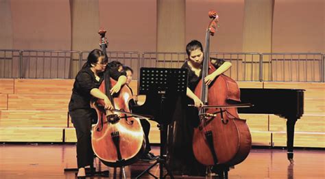 低音提琴撥弦(低音提琴撥弦演奏)縮略圖
