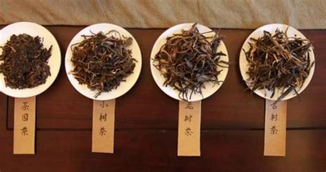 古樹(shù)茶與臺(tái)地茶的區(qū)別,古樹(shù)茶與臺(tái)地茶的區(qū)別有哪些縮略圖