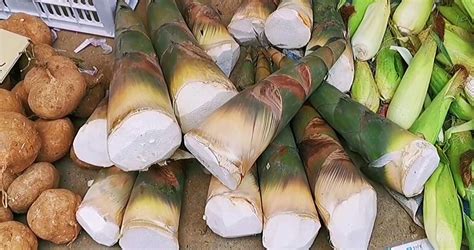 筍干制作全過程,筍干制作全過程視頻縮略圖
