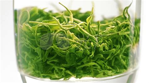 毛尖茶圖片,毛尖茶圖片高清圖片縮略圖