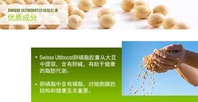 軟磷脂還是卵磷脂的功效與作用(軟磷脂還是卵磷脂的功效與作用犬)縮略圖