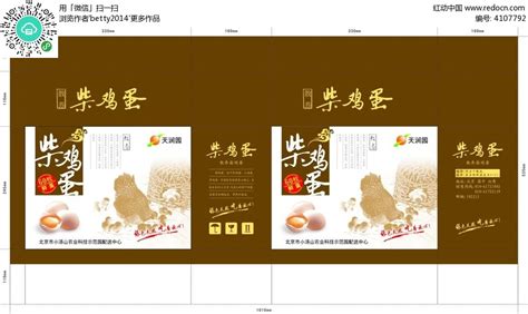 柴雞蛋小說(shuō)作品集(柴雞蛋小說(shuō)作品集下載百度云)縮略圖