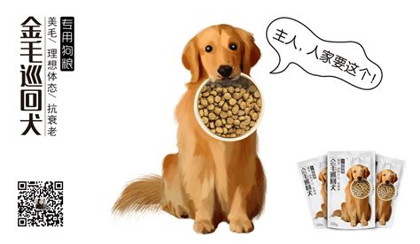 金毛幼犬狗糧推薦(金毛幼犬狗糧推薦性價比高)縮略圖