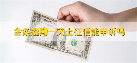 金條借款有額度借不了怎么辦(京東金條有額度不能借款多久恢復(fù))縮略圖