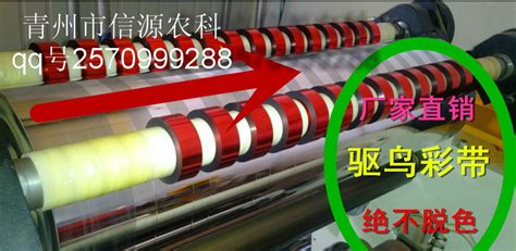彩帶驅(qū)鳥效果怎么樣(驅(qū)鳥彩帶什么顏色效果好)縮略圖
