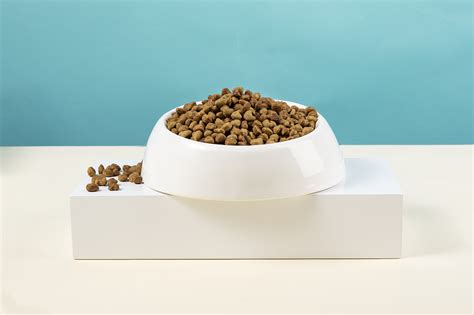 頑皮狗糧(頑皮狗糧怎么樣)縮略圖