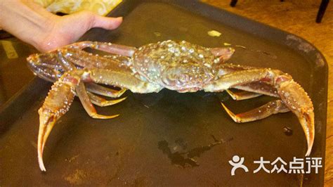 長(zhǎng)腳蟹圖片大全(長(zhǎng)腳蟹圖片大全大圖)縮略圖