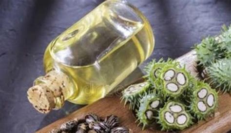 蓖麻油炒雞蛋能催生嗎,蓖麻油炒雞蛋能催生嗎?縮略圖