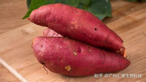 胡蘿卜素的作用和功效有哪些(β胡蘿卜素的作用與功效)縮略圖