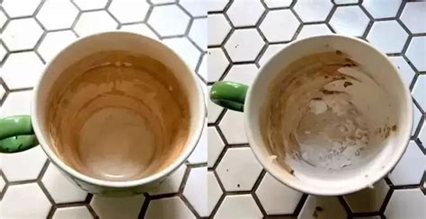 茶杯茶垢清洗妙招(茶垢怎么一泡就掉)縮略圖