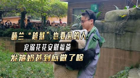 發箍奶爸和萌蘭后來見過嗎(發箍奶爸去北京偷偷看萌蘭)縮略圖
