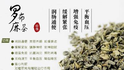 羅布麻降壓片的功效與副作用,羅布麻降壓片長期吃有什么副作用縮略圖