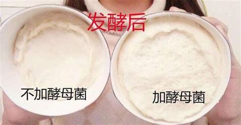 酵母粉吃多了對身體有害嗎(酵母粉吃多了對人有危害嗎)縮略圖